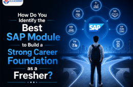 How Do You Identify the Best SAP Module to Build a Strong Career Foundation as a Fresher?